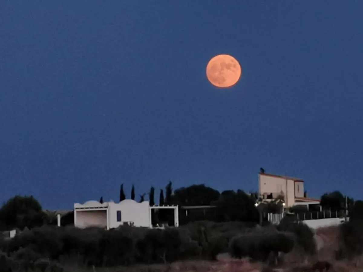 Villa Casa Palombara - Healiday In Torre Salsa Montallegro Italia