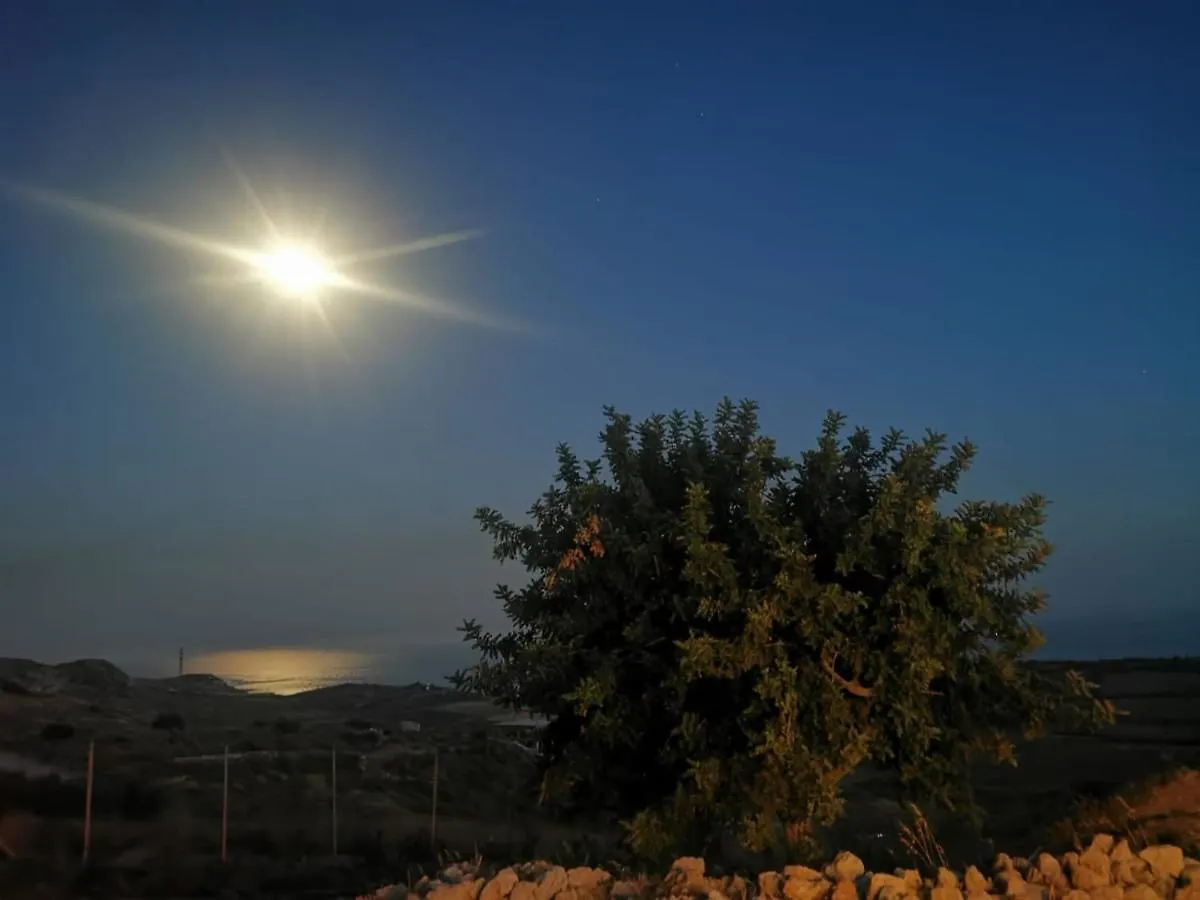 فيلا Casa Palombara - Healiday In Torre Salsa مونتاليغرو 0*,