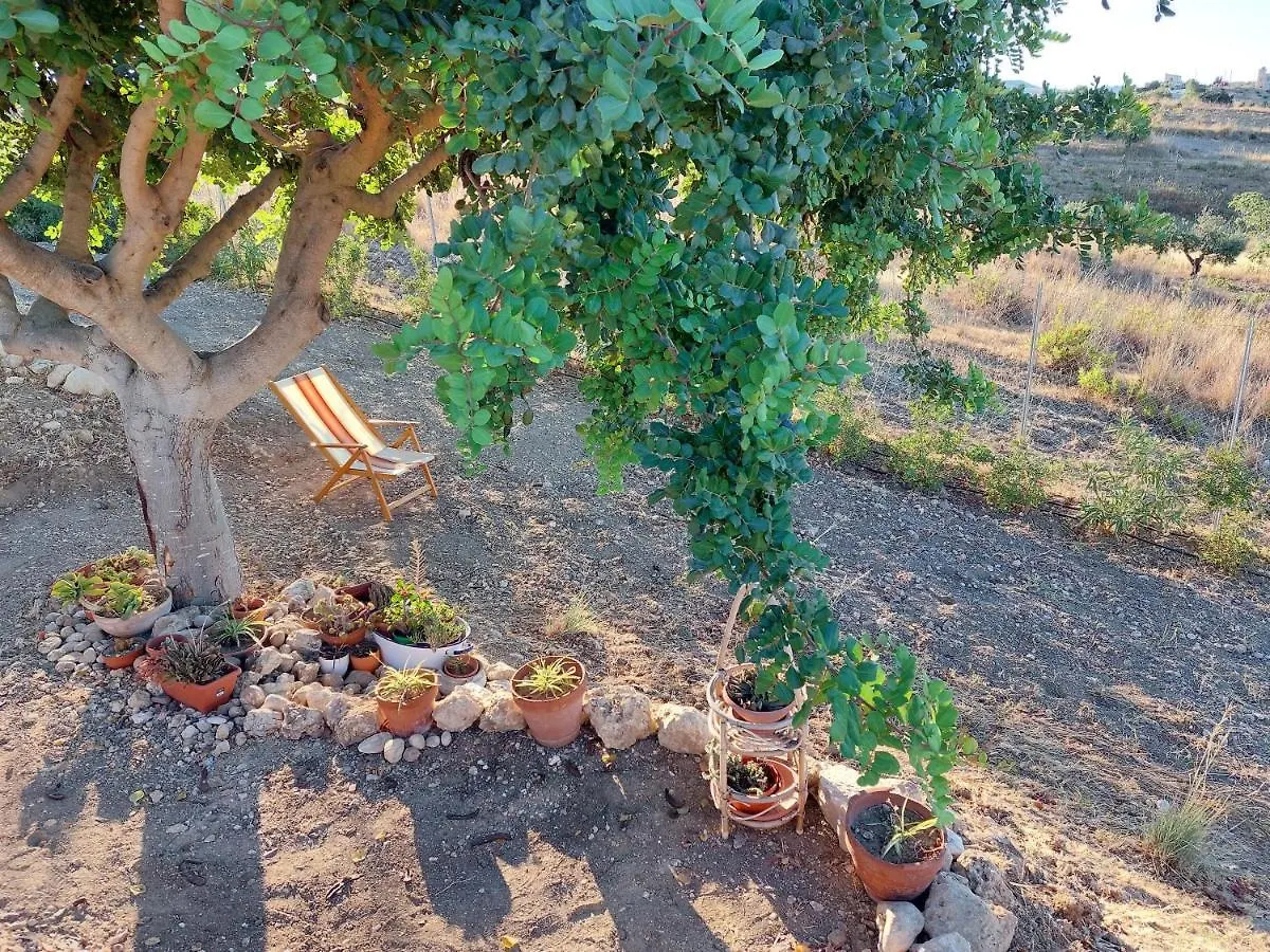 Villa Casa Palombara - Healiday In Torre Salsa Montallegro
